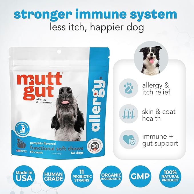 MuttGut® Dog Allergy and Immune Chews - Itch Relief for Dogs with Skin & Coat Support - Allergy Relief for Dogs Itching & Licking - Pet Allergy Chews for Seasonal Allergies - 60 Soft Chews