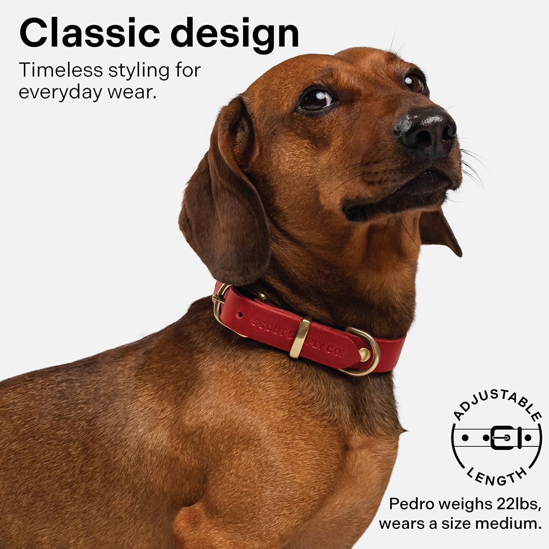 Classic Genuine Leather Dog Collar | Dog Collars for Medium Dogs, Small Dogs, Large Dogs & Extra Large Dog | Wide Dog Collar | Heavy Duty Dog Collar (Red, M: 0.8" Wide for 10.5"-13.5" Neck)