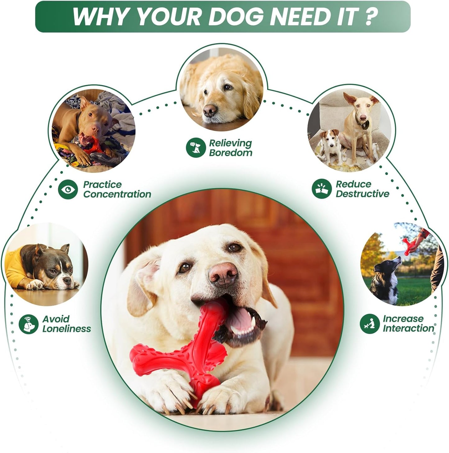 Dog Chew Toys for Aggressive Chewers Large Breed,Indestructible Bones Toy，Durable Cleaning Toothbrush Natural Rubber Dog Toys… (Red)