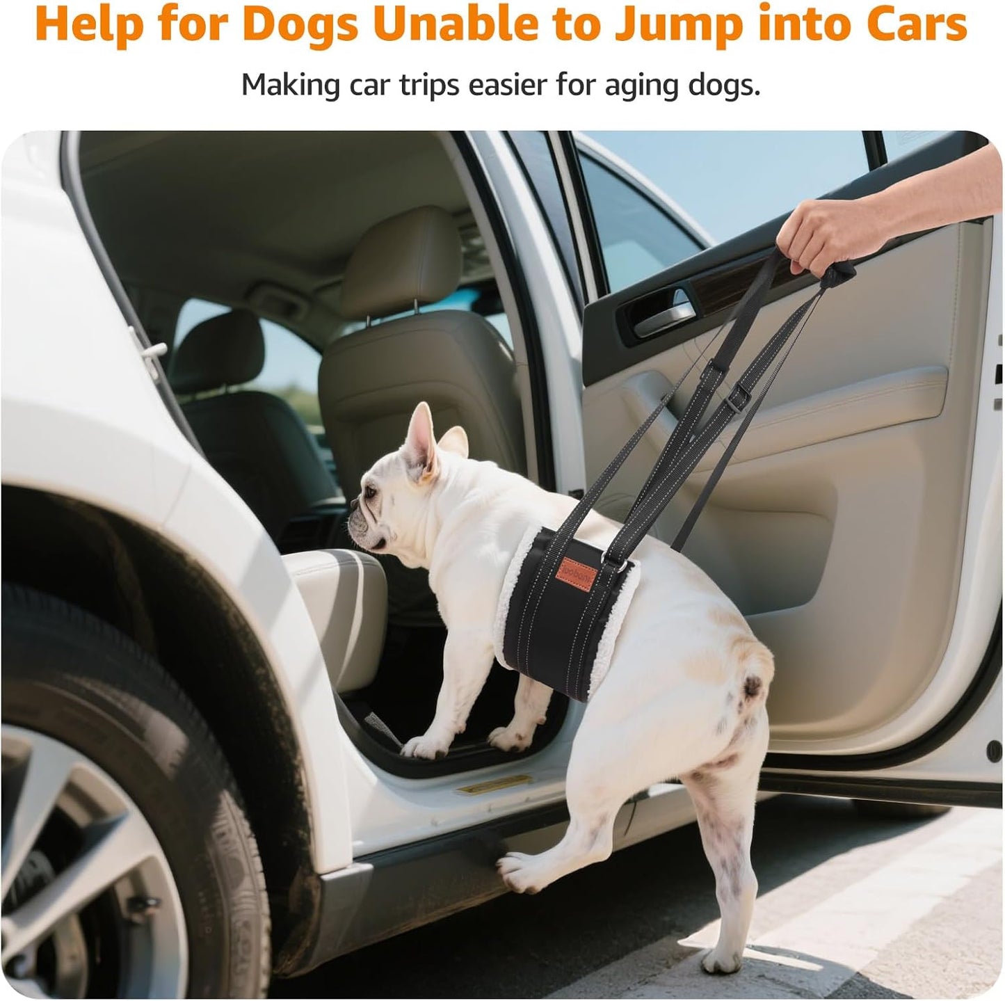 LOOBANI Portable Dog Sling for Back Legs, Hip Support Harness to Help Lift Dogs Rear for Canine Aid and Old K9 Cruciate Ligament Rehabilitation