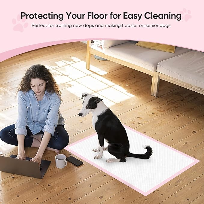 Super-Absorbent Leak-Proof Dog and Puppy Pet Training Pad, Housebreaking Puppy Pads Disposable (24" X 24" - Medium 40PCS)