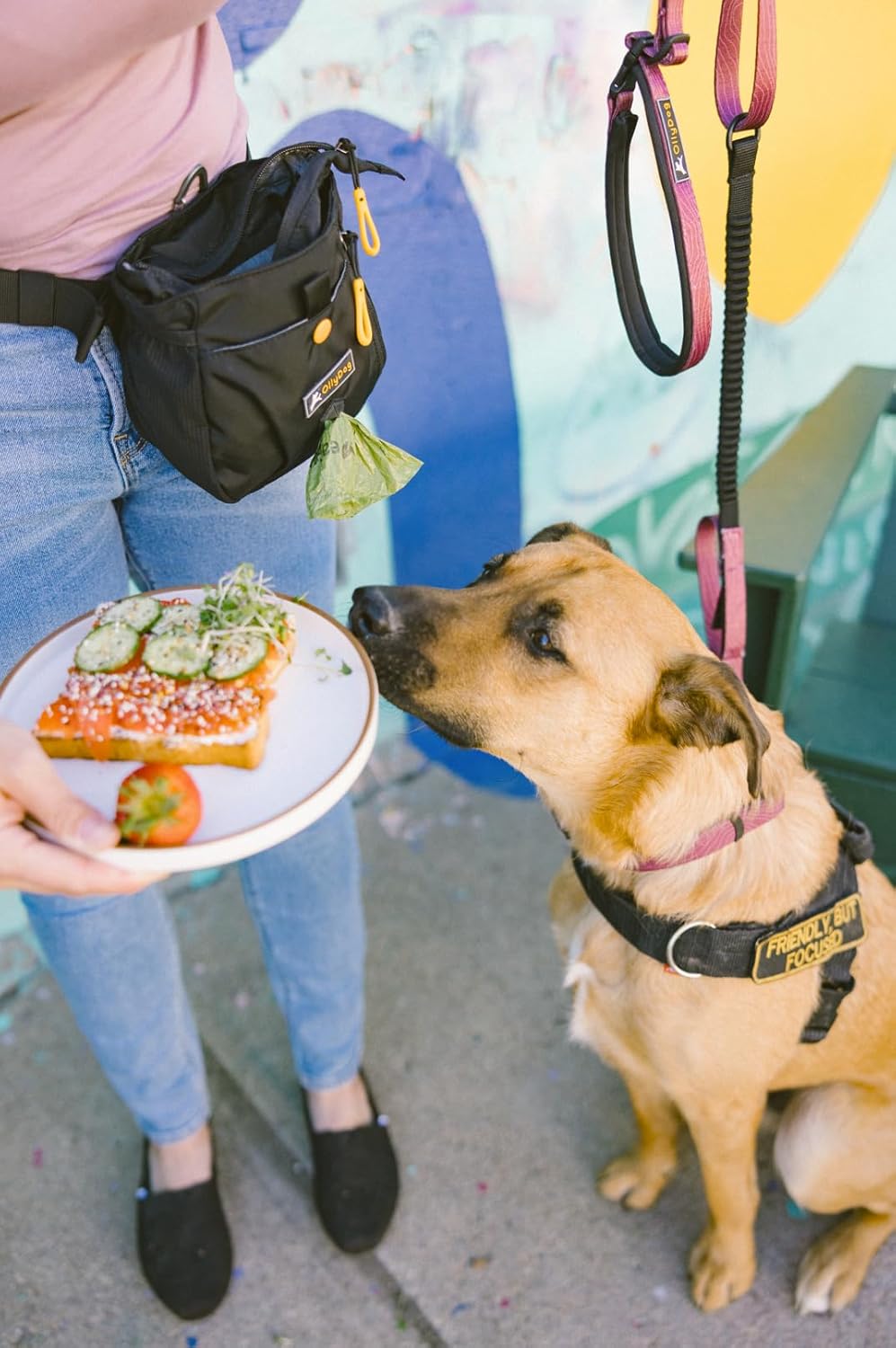 OllyDog Backcountry Day Bag | Hands-Free Dog Training Treat Pouch | Fanny/Hip Pack with Zipper Closure & Built-in Poop Bag Dispenser | Removable Waist Clip (Raven)