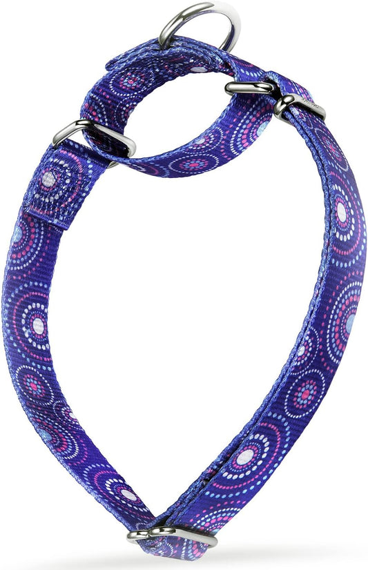 Martingale Collar Dog Collar No Pull Pet Collar Heavy Duty Dog Martingale Collars Silky Soft with Unique Pattern for Medium and Large Dogs (Large, 1 Inch Wide, Firework Dots -Royal Blue)