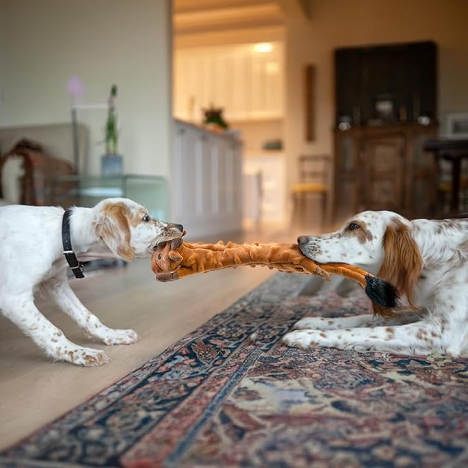 SHARLOVY Dog Squeaky Toys Pack, Bubble Plush Puppy Teething Pet Toys, Crinkle No Stuffing Animals Dog Toy, Doggies Chew for Large Small Medium Breeds