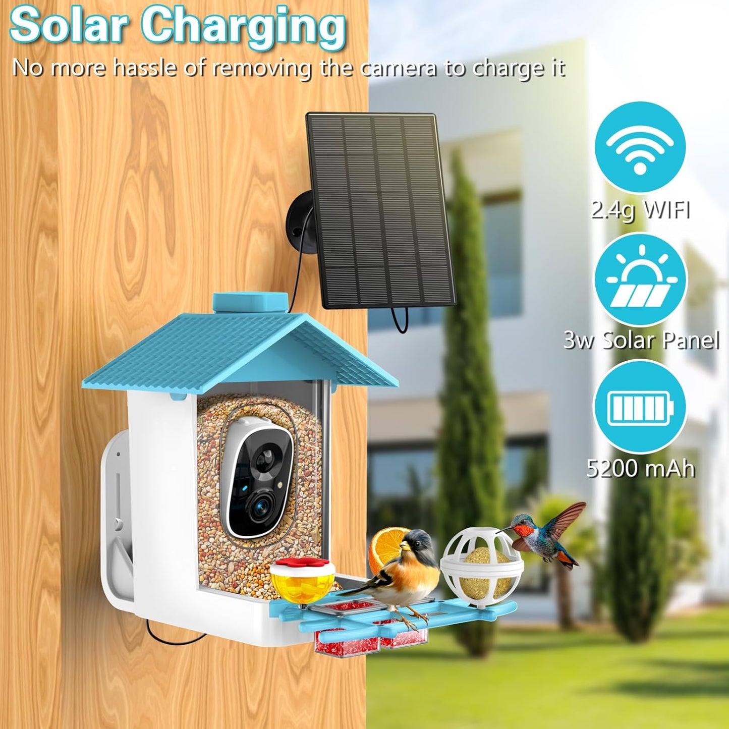 TayePin Bird Feeder with Camera Solar Powered & AI Identify 10,000+ Birds Species, 2.4Ghz WiFi Smart Feeding, 2K HD Live Video for Outdoor, IP65 Waterproof, Instant Arrival Alerts, Bird Lover Gifts