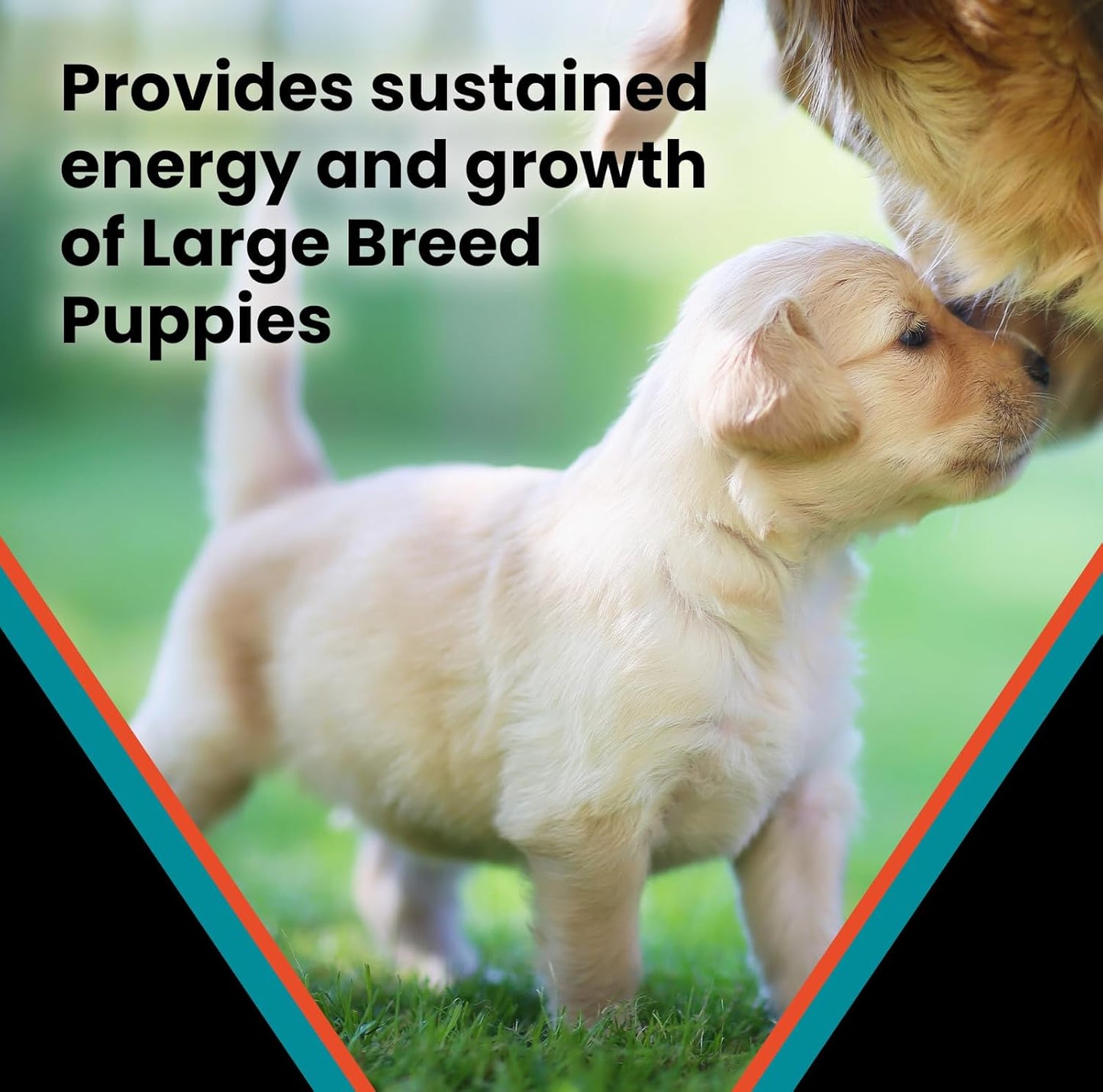 VICTOR Classic - Hi-Pro Plus Large Breed Puppy, 15-lb