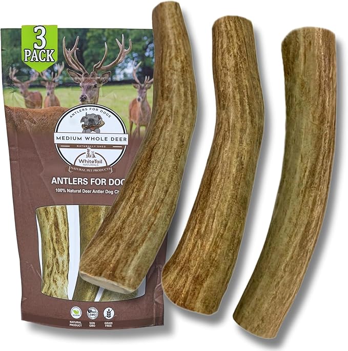 Whitetail Naturals - 3 Pack Medium - Deer Antler Dog Chews - Antlers for Medium Dogs - Long Lasting, Naturally Shed Antler Dog Bones