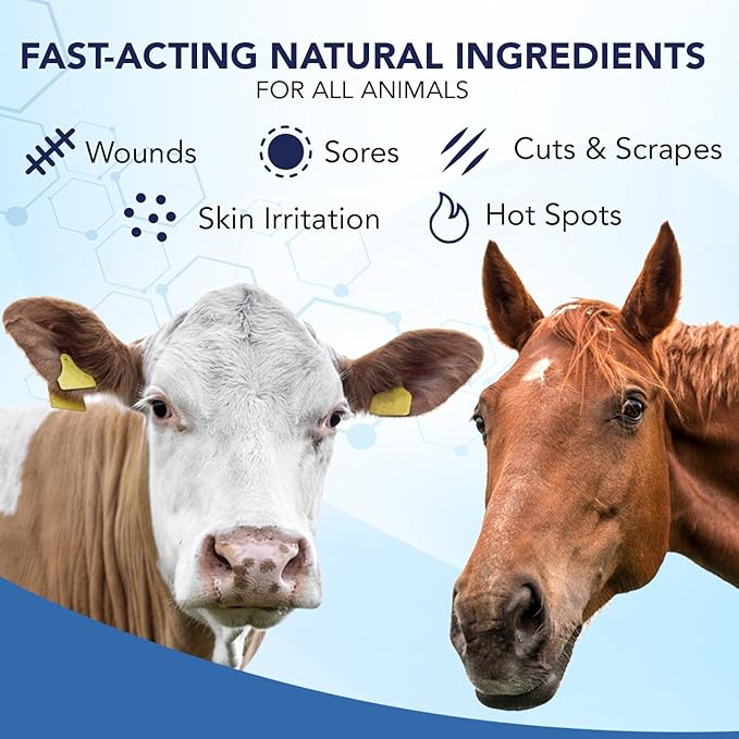 NOVEHA Pet Wound Spray - Sores, Abrasions and Wounds Care for Horse - Fast-Acting Skin Repair, Helps with Rashes, Hot Spots, Scratching, 6fl oz