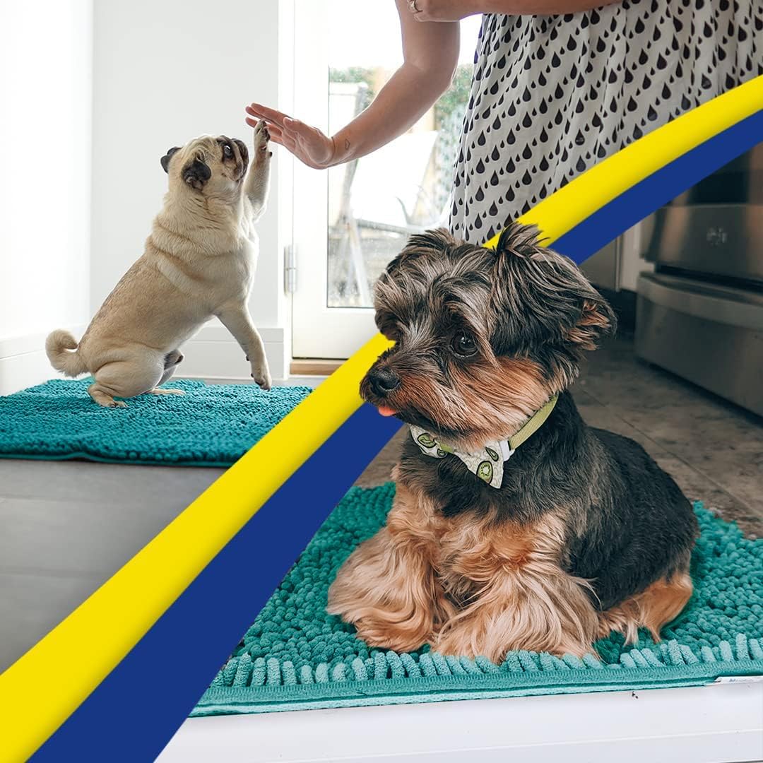 Muddy Mat® Original Dog Door Mat for Muddy Paws, Super Absorbent Microfiber, Non-Slip Washable Pet Rug, Quick Dry Chenille Entryway Carpet, Machine Washable Indoor Outdoor mat, Teal 18"x28"
