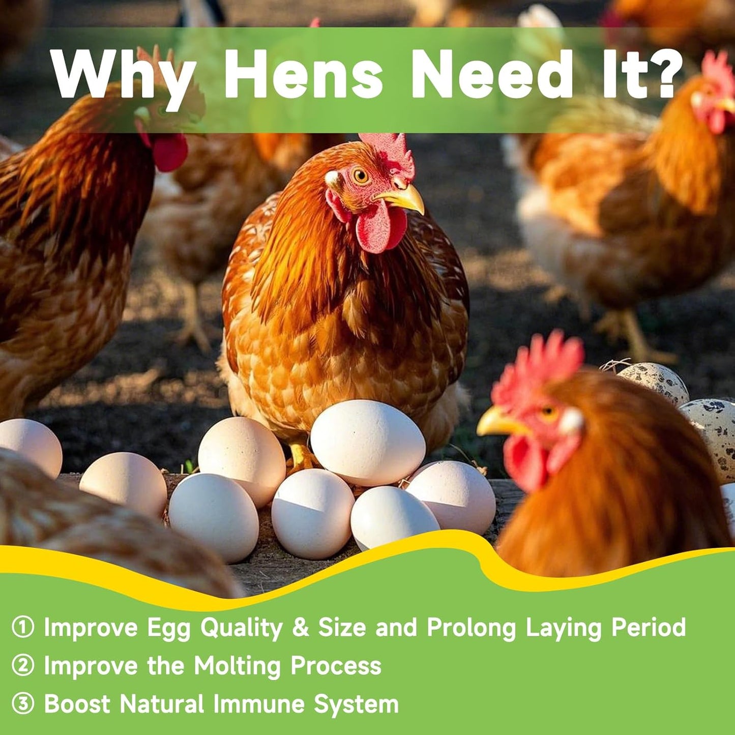 600g Dried Black Soldier Fly Larvae Treat for Chicken, 100% Natural Non-GMO More Calcium Than Dried Mealworms High Protein Chicken Feed for Birds, Ducks, Layer Hens