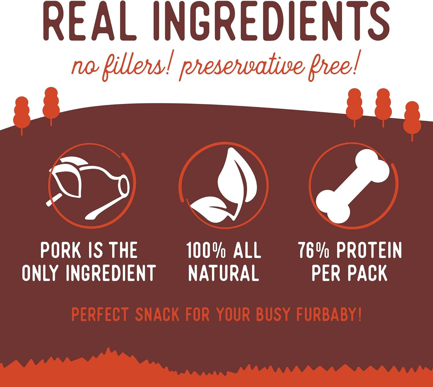 Beg & Barker Pork Jerky for Dogs (4 oz, Pack of 1) - Dog Training Treats - Natural Dog Treats Made in The USA - Grain Free, Diabetic-Friendly, High Protein, Sugar-Free (Pork Dog Jerky)