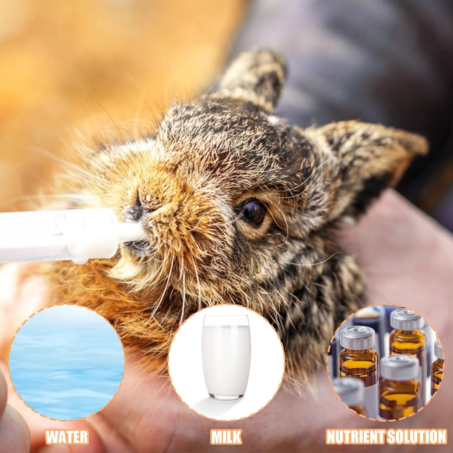 Baby Bird Feeding Syringe Set, Pet Parrot Milk Feeding Syringe with Tubes, Parrot Feeding Tubes Measuring Tools for Feeding Pets Scientific Industrial Labs (20ml)