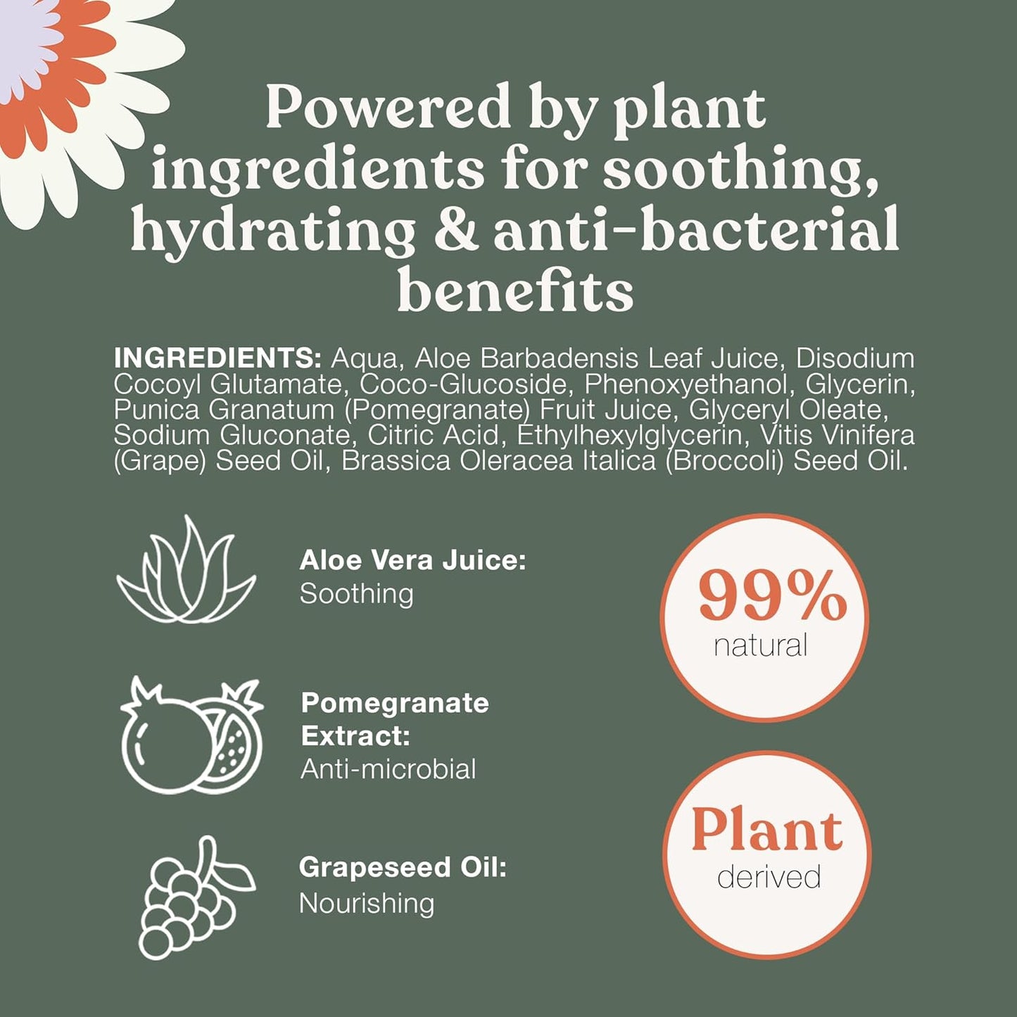 Dandylion Clean Paws No-Rinse Foaming Cleanser Refill – Gentle, Fragrance-Free, pH-Balanced for Dogs, 10 fl oz