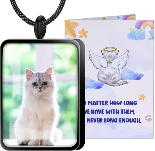 Fanery Sue Pet Ashes Necklace Cremation Jewelry Personalized Picture&Quote Memorial Gifts for Loss of Dog/Cat Urn Necklaces Pets Loss Sympathy Gift Keepsake for Women