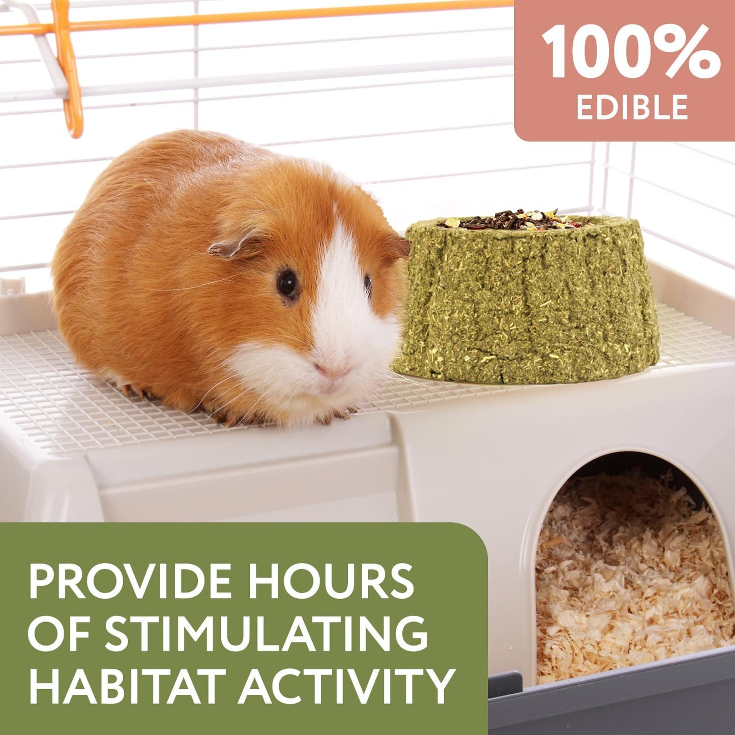 Evergreen Pet Supplies Guinea Pig Bowl - 4-Pack, Green & Brown - Edible Food & Chew Bowls for Rabbits & Guinea Pigs - Toys for Ferrets & Hamsters