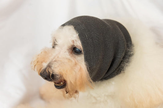 Dog Hematoma Ear Wrap,Pet Ear Head Wrap Anxiety Relief – Noise Canceling for Fireworks, Thunderstorms, Pet Grooming & Force Drying(Grey M).
