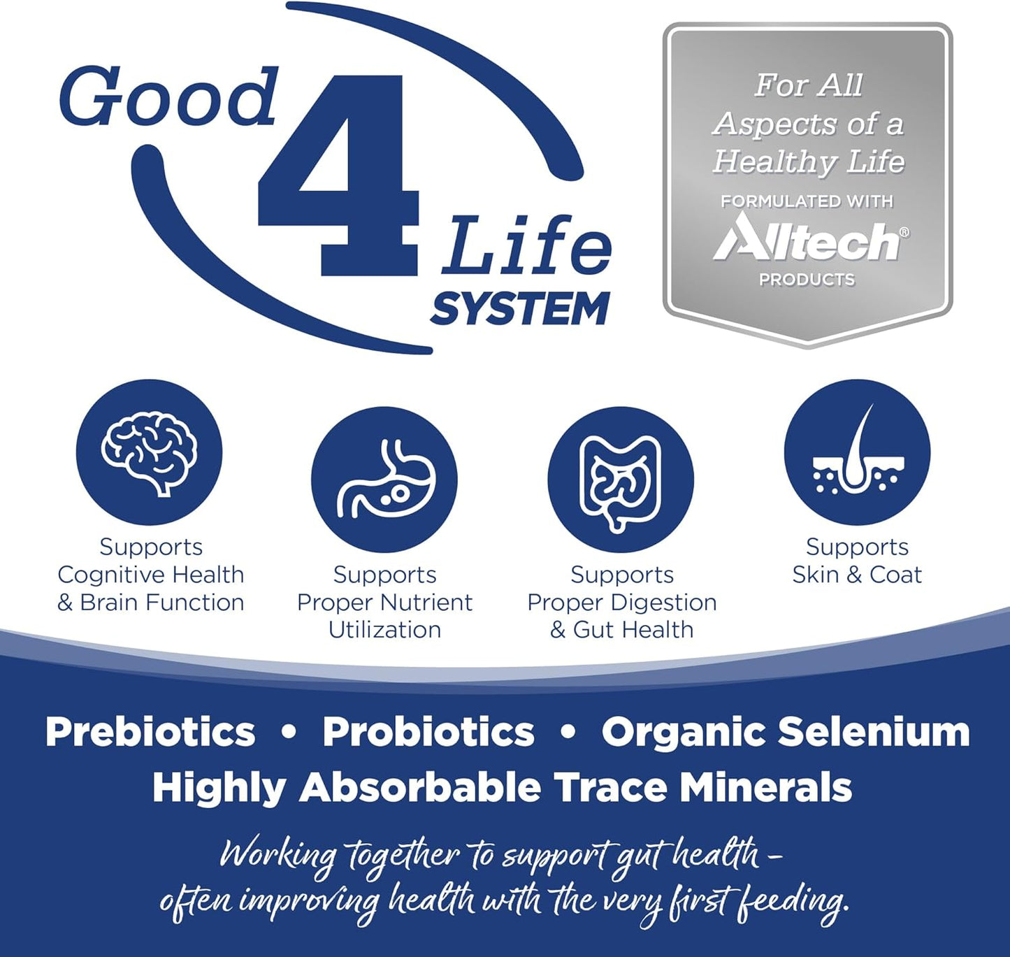 NutriSource Dry Dog Food, Trout and Rice, 4LB