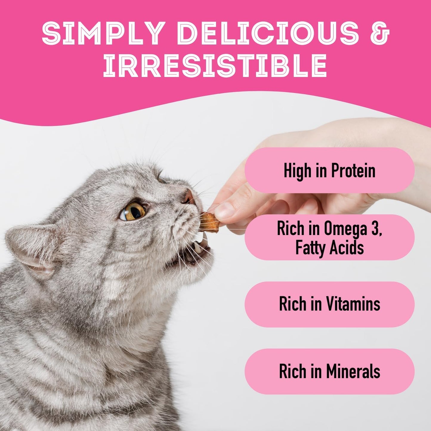 Dehydrated Wild Salmon Treats for Dogs & Cats (1.76 oz, Pack of 1) Single Ingredient to Maintain Nutrients Vitamins and Healthy Oils Made in Canada