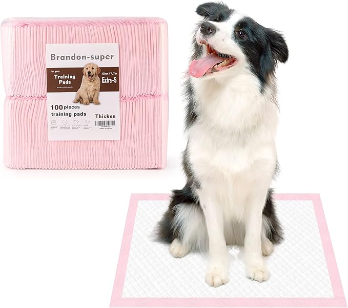 Super-Absorbent Leak-Proof Dog and Puppy Pet Training Pad, Housebreaking Puppy Pads Disposable (13" X 18"-Extra-Small 100PCS)