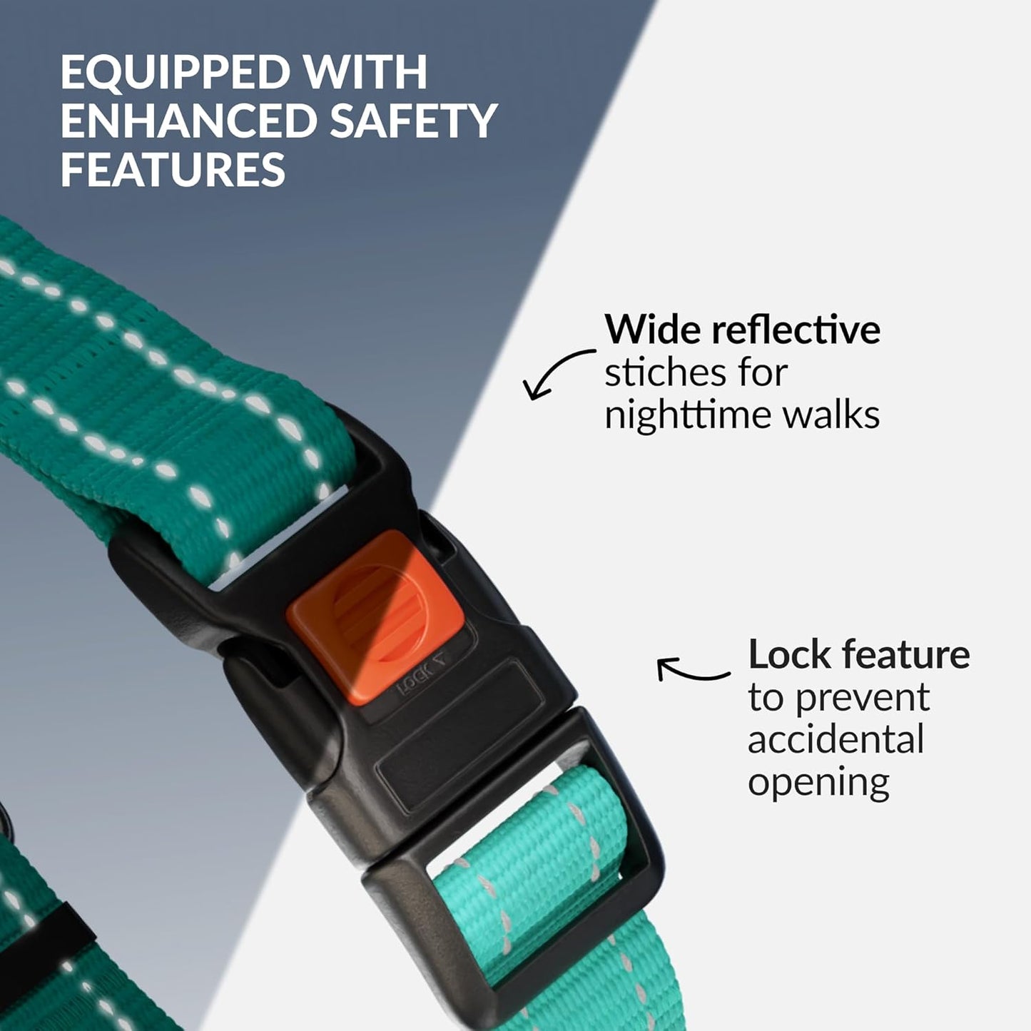 CollarDirect Martingale Dog Collar with Stainless Steel Chain and Quick Release Buckle - Reflective Collar for Large, Medium, Small Dogs - Mint Green, Medium (Neck Size 14"-17")