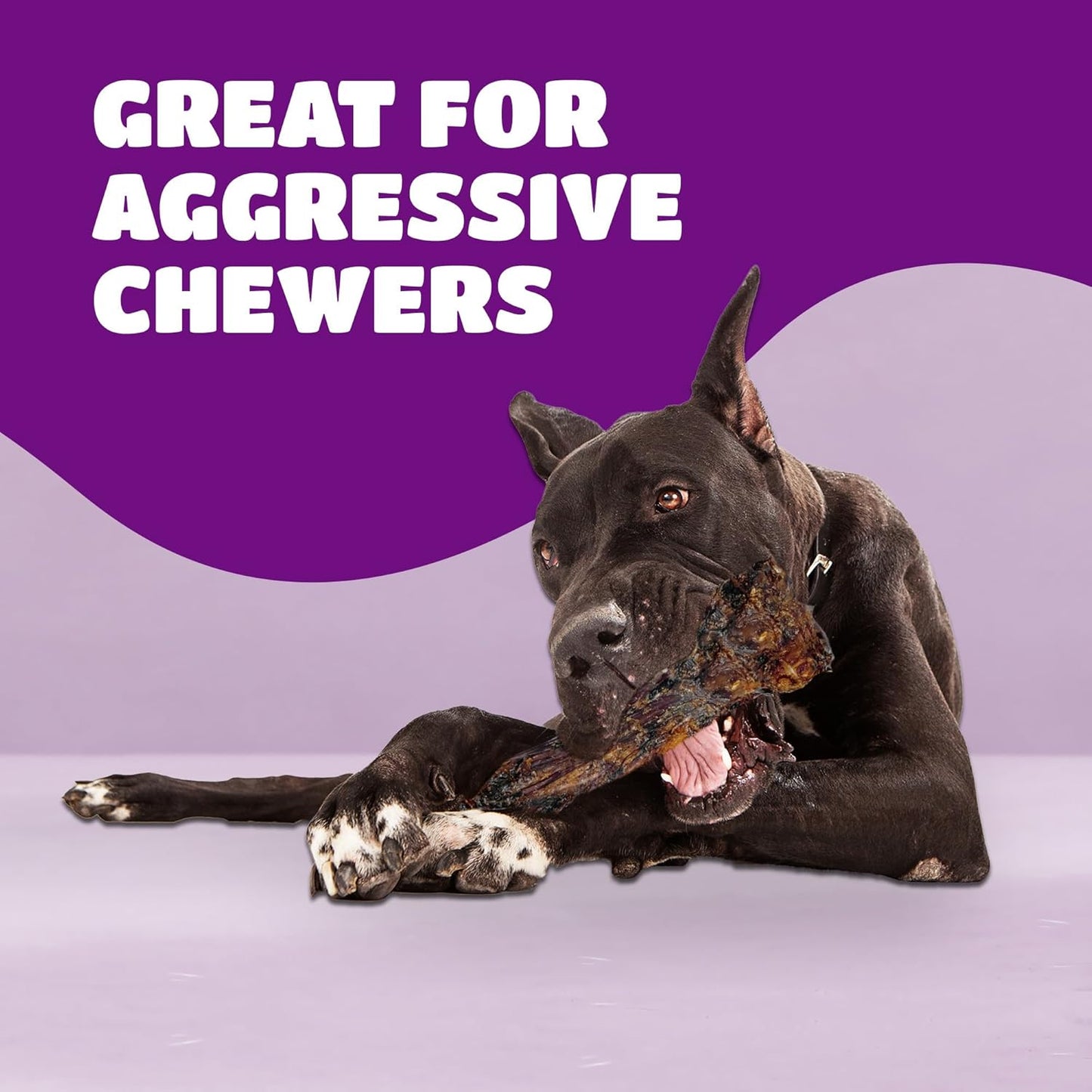 Liver Coated Dog Bones for Aggressive Chewers, Long Lasting Dog Bone, Chew Bones for Large Dogs, Beef Shin Bone, 3 Pack