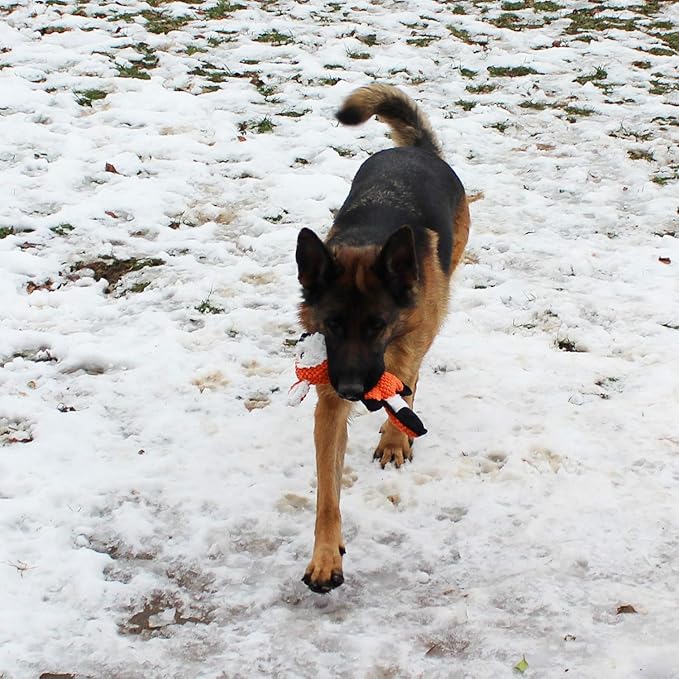 Jalousie Multipack Dog Squeaky Toys Strong Almost Indestructible, with Added Liner for Longer Play Dog Chew Toys (5 Pack Tough)