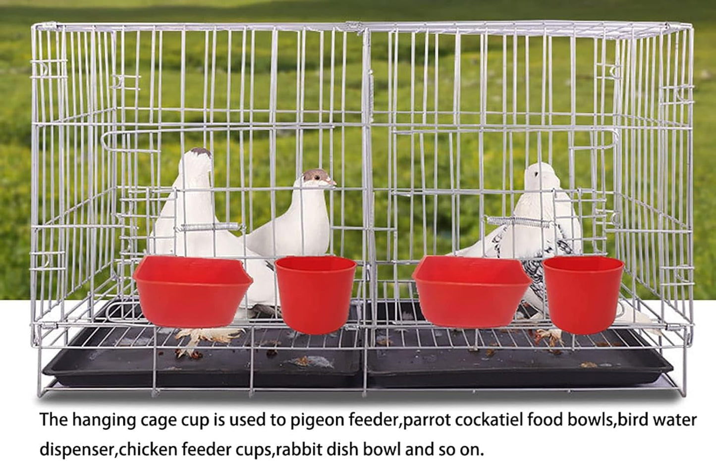 Cage Cups Birds Feeders Seed Bowl Chicken Feeding Watering Dish Rabbit Water Food Hanging Wire Cages Box 16oz Coop Cups for Pet Parrot Parakeet Gamefowl Poultry Pigeon