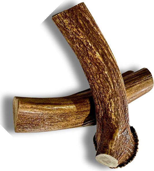 WhiteTail Naturals - Deer Antlers for X-Large Dogs (2 Pack- Jumbo XXL) All Natural Antler Dog Chew - Naturally Shed, Long Lasting Chew Bone for Big Agressive Chewers