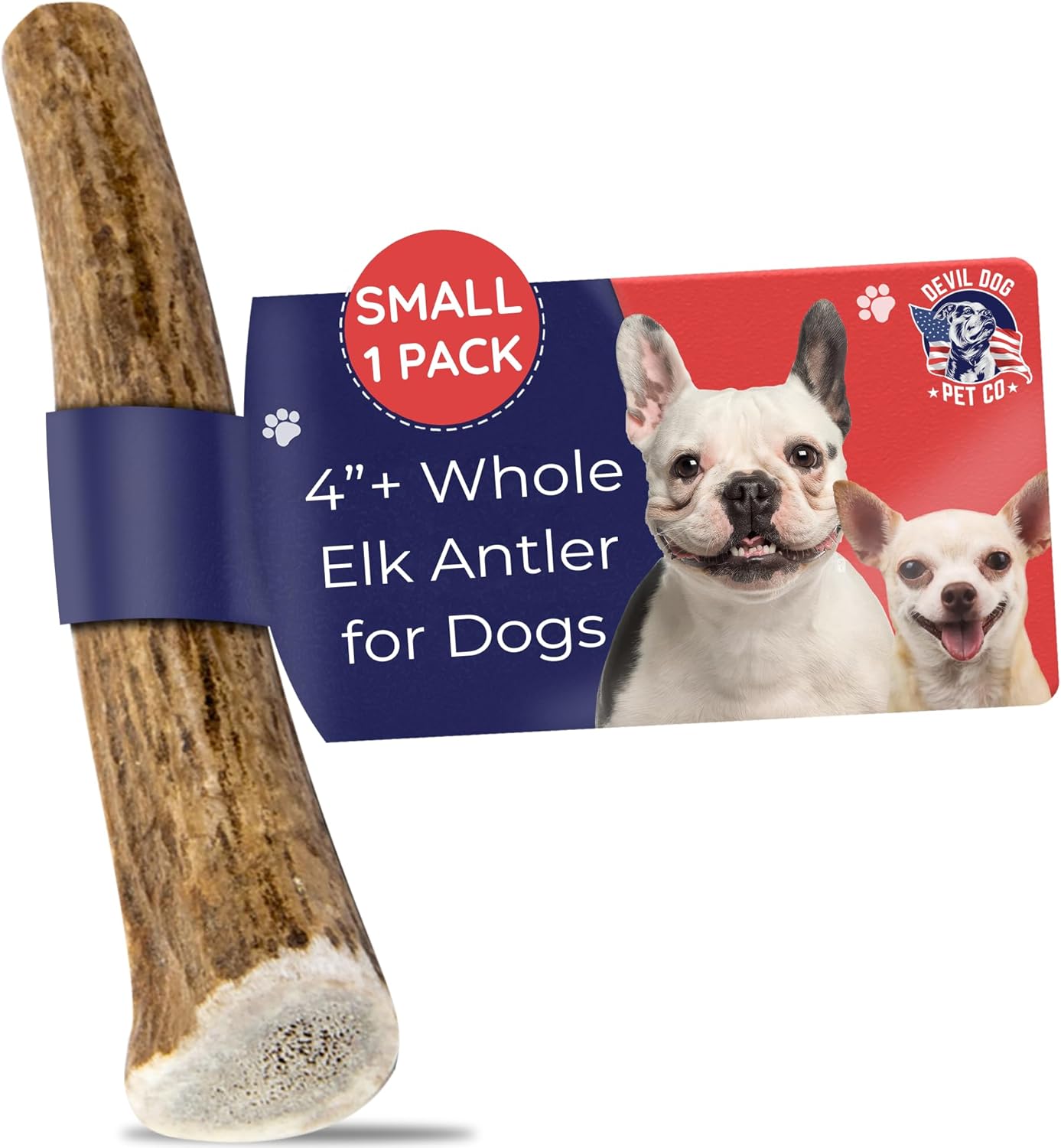 Devil Dog Pet Co. Elk Antlers for Dogs, Small 4"+, 1 Pack, Grade A Long Lasting Chew for Aggressive Chewers, Premium USA Naturally Shed Antler – Healthy, No Odor, Durable Dog Chew