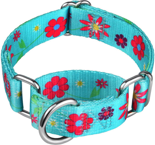 Martingale Collar Floral Print Puppy Dog Collar - No Pull Pet Collar, Heavy Duty Adjustable Dog Collar, Small, Neck 10 Inch -15 Inch, Sun Flowers (Teal)