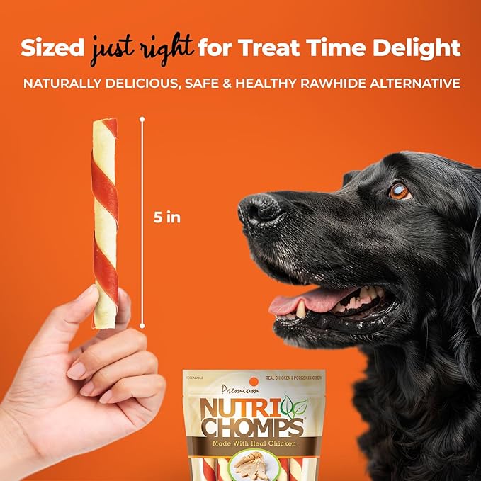 NutriChomps Dog Chews 5-inch Twists, Easy to Digest, Rawhide-Free Dog Treats, Real Peanut Butter Flavor & Real Chicken Flavor (NT112V) - 10 Count (Pack of 2)