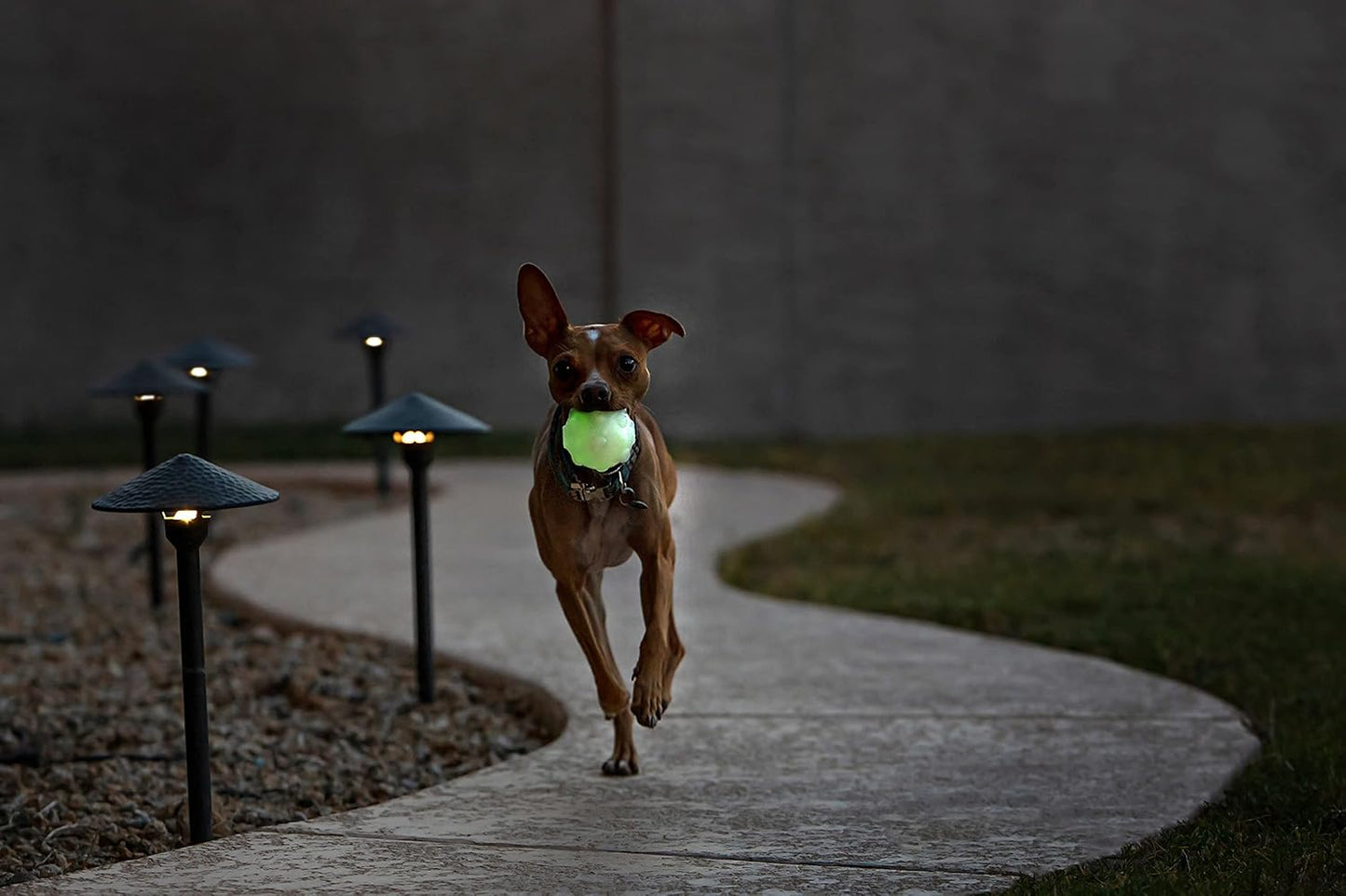 Jolly Pets JJ03 GLOW 3" Jumper Pet Toy Balls, Small