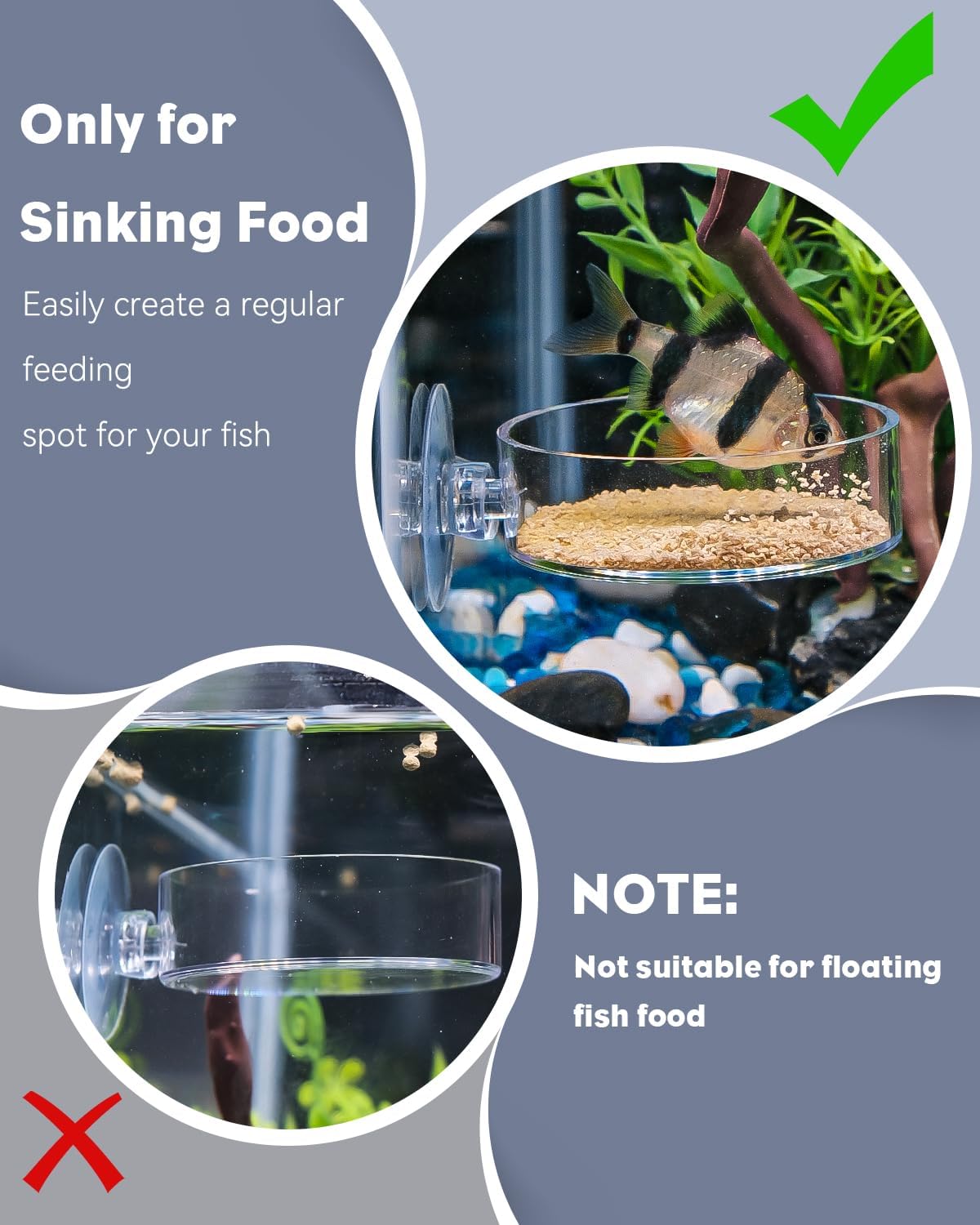 Pawfly Shrimp Feeding Dish with Suction Cup, Clear Acrylic Aquarium Shrimp Feeder Dish, Fish Feeding Tray for Freshwater and Saltwater Tanks