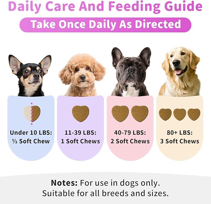 Itch Relief for Dogs - Turmeric Supplements for Itching Skin Comfort & Coat Health & Seasonal Allergy Care, Immune Support Supplement with Omega-3 Fish Oil, Biotin - Beef Flavor - 90 Count