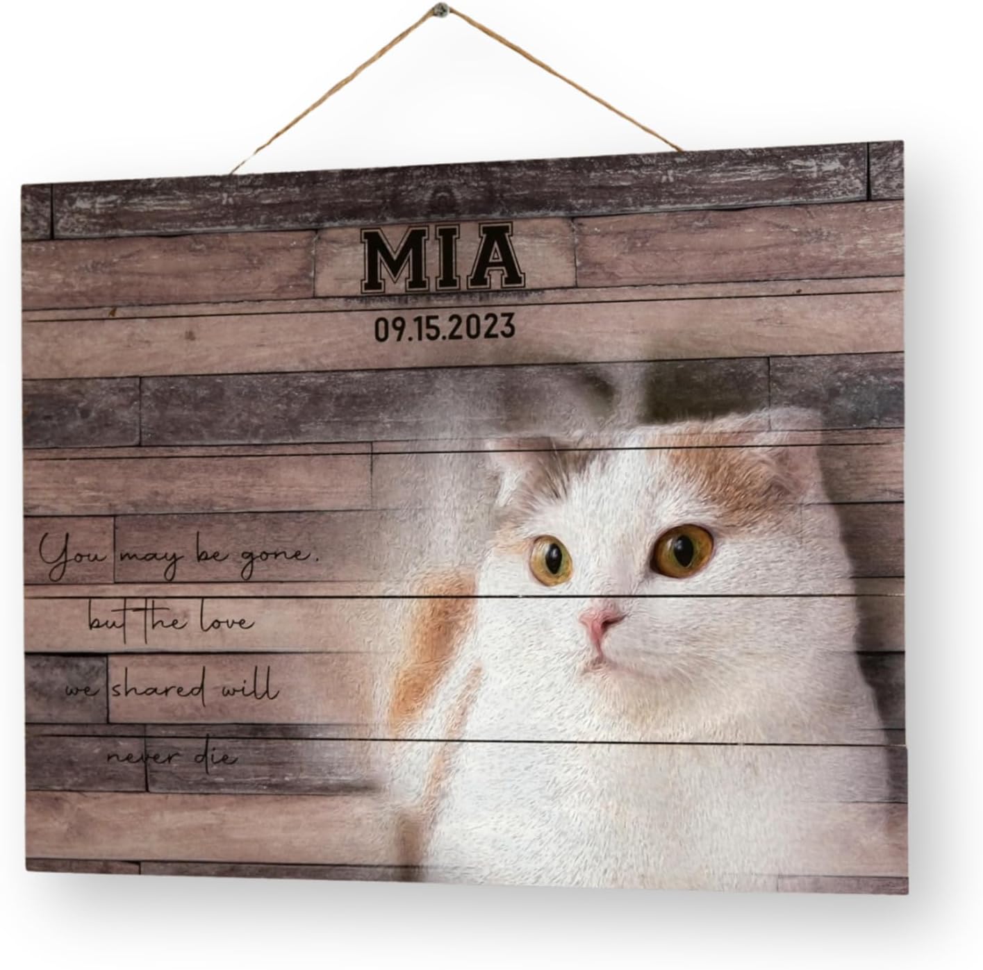 Custom Pet Memorial Night Light Gift Personalized Cat Acrylic Plaque Photo Frame Sympathy Gift Condolence Gifts with Picture Name (Cat Memorial)