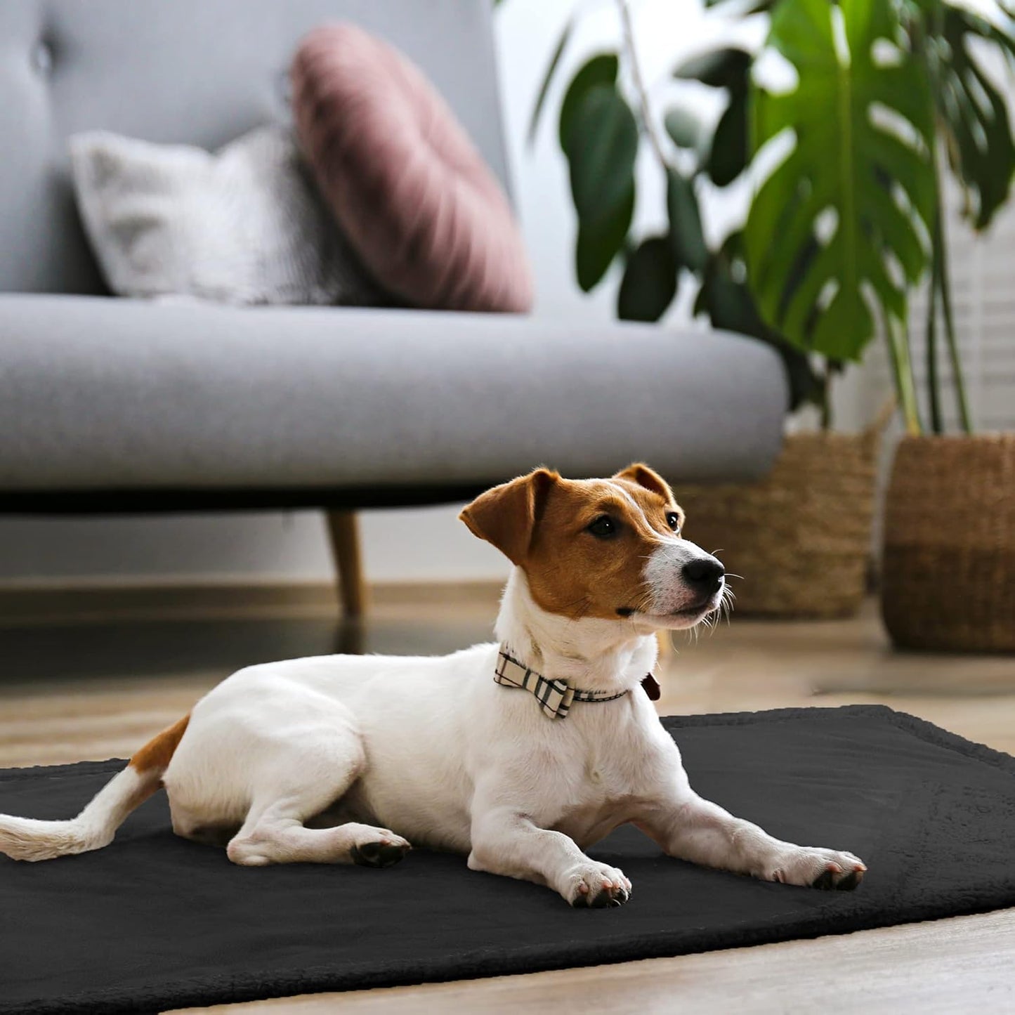 Kritter Planet Waterproof Dog Blanket, Reversible Water Proof Pet Blanket for Couch, Bed & Car, Washable Couch Covers for Medium Dogs - Protects Furniture from Fur, Dirt, and Accidents