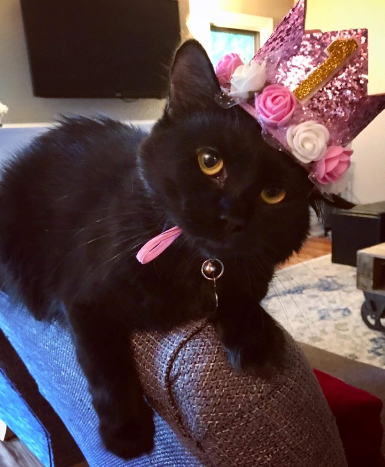 PET SHOW Pink Crown Dog Birthday Party Hat for Girls Reusable Birthday Party Cat Kitten Headband with 0-9 Figures Charms Grooming Accessories with Glue Pack of 1