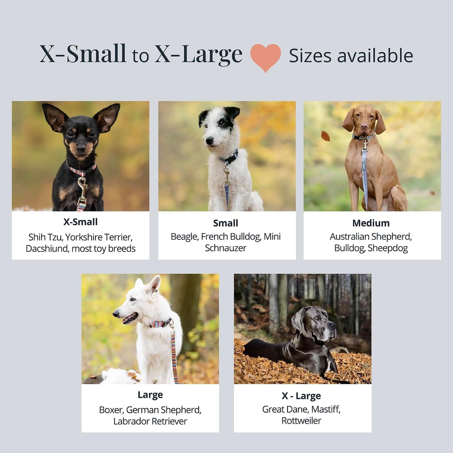 Lucky Love Dog, SOCO Collar - Large, Multicolor, Nylon, Unique Patterns, Adult Dogs, 15-25" Neck Size