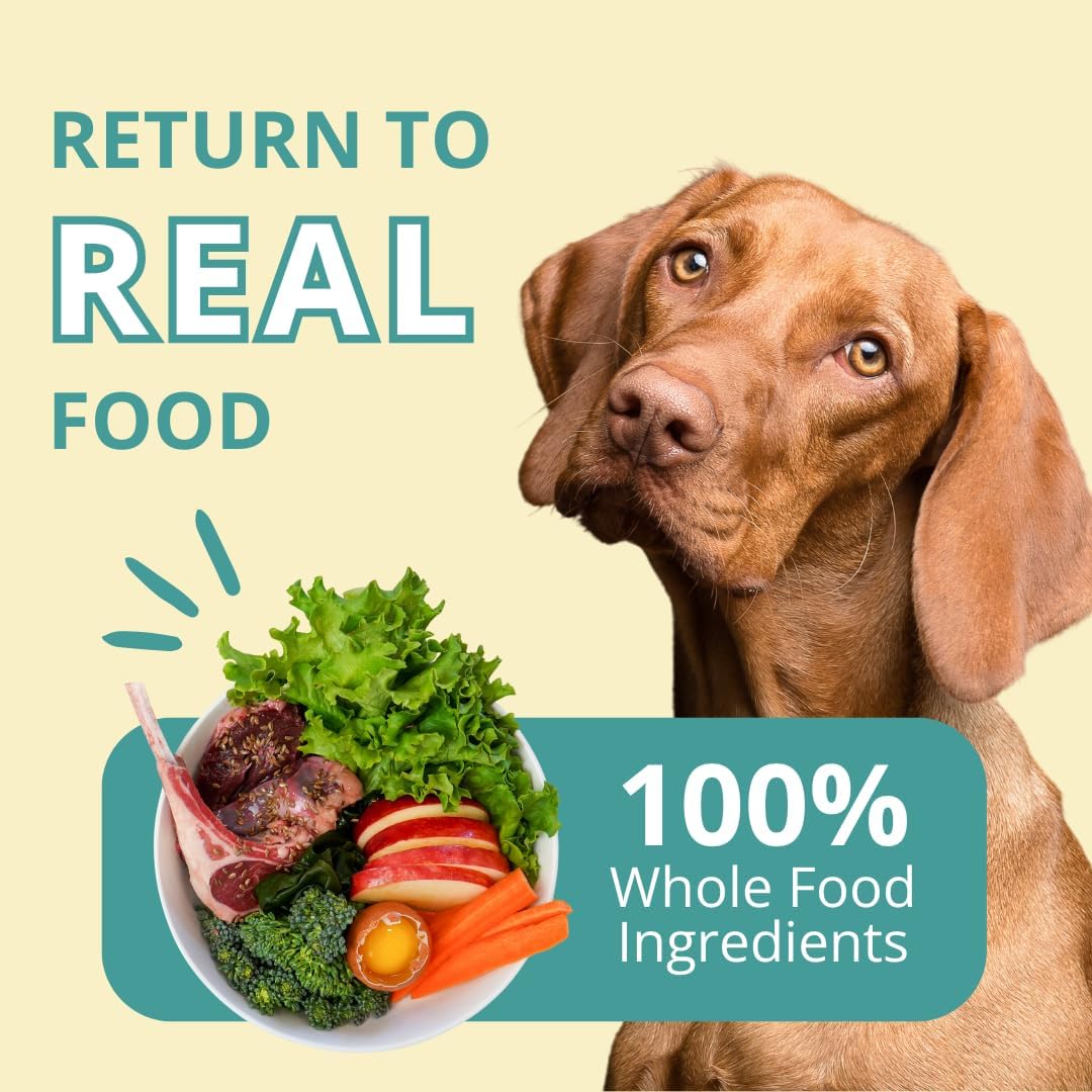 Steve's Real Food Freeze-Dried Raw Nuggets - Lamu Recipe - Raw Pet Food for Dogs and Cats - 20 oz