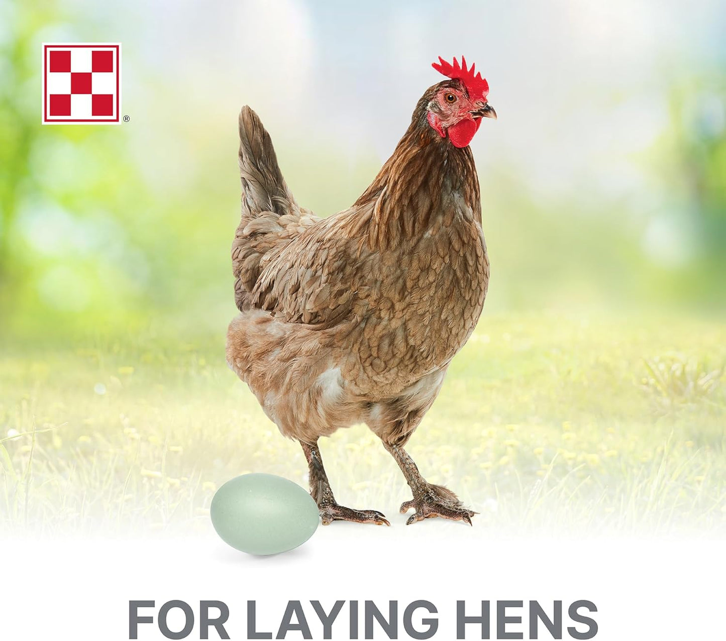 Purina® Layena® Crumbles Chicken Food, 25 Pound Bag