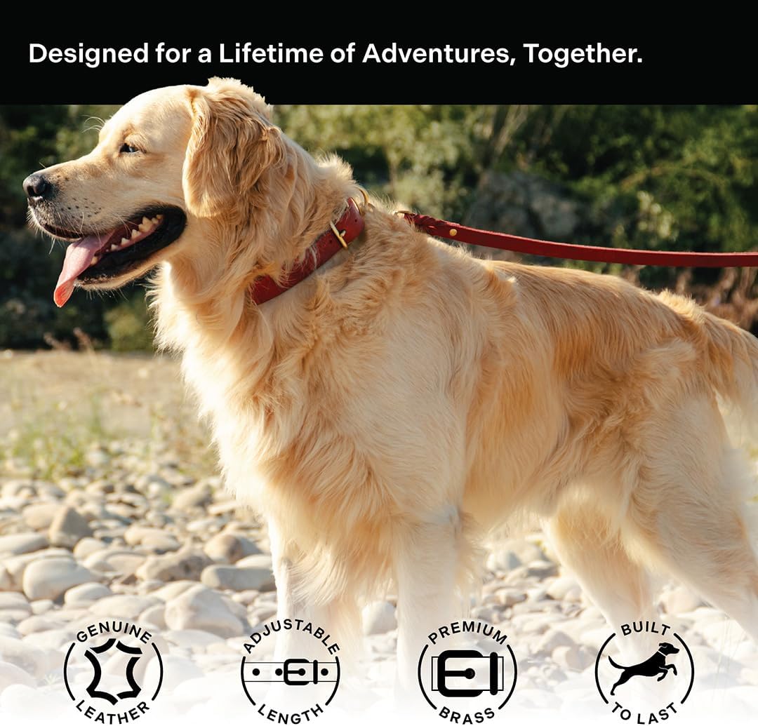 Classic Genuine Leather Dog Collar | Dog Collars for Medium Dogs, Small Dogs, Large Dogs & Extra Large Dog | Wide Dog Collar | Heavy Duty Dog Collar (Red, S: 0.5" Wide for 7.5"-10.5" Neck)