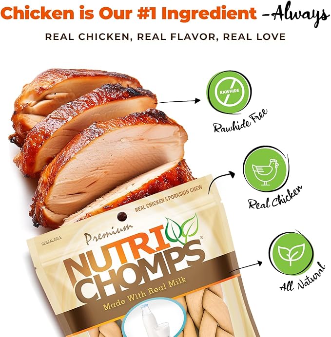 NutriChomps 9-inch Braid, Rawhide-Free Dog Treats, Easy to Digest, Healthy, 4 Count Milk