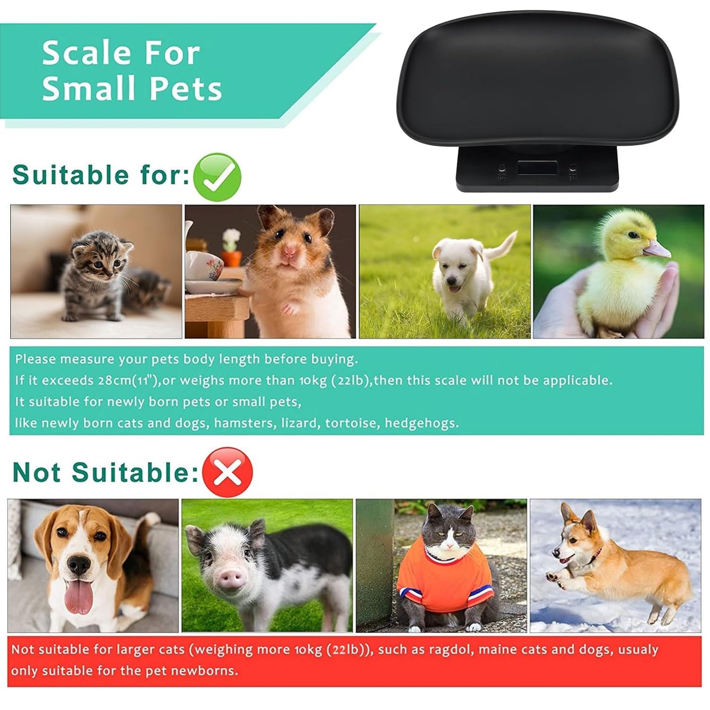 Digital Small Animals Scales for Weighing with Tape Measure, Puppy Whelping Scale Weigh Your Kitten, Rabbit with High Precision (Black Pet Scale&Tape)