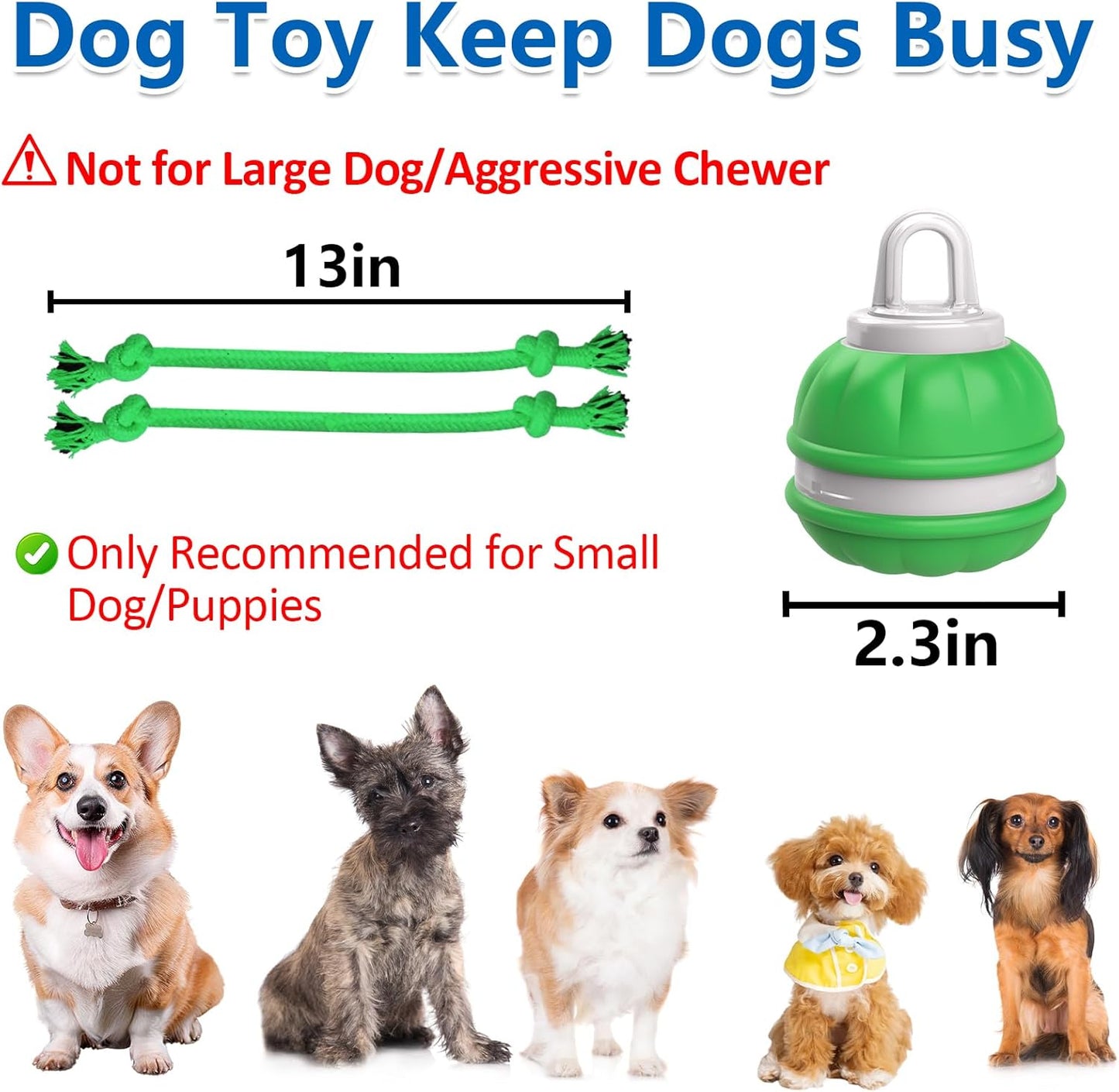 Interactive Dog Toys for Small Dogs, Automatic Moving, Motion Activated, Squeak, Active Rolling Dog Ball Wicked Ball for Daily Training