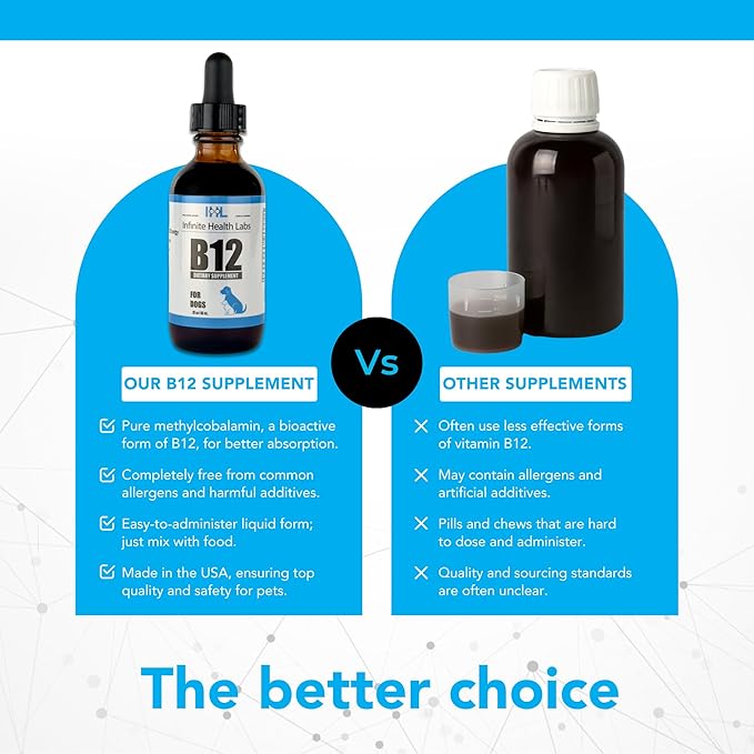 Liquid Vitamin B-12 for Dogs - Methylcobalamin Supplement for Pets - Dog Vitamins for Medium & Large Breed - Pet Vitamins and Supplements - Dog Multivitamins