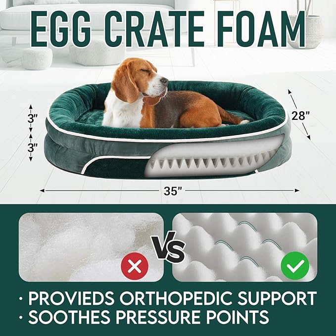 OhGeni Orthopedic Dog Couch Pet Sofa Large Sized Cat Beds with Comfort Foam Support, Soft Comfortable Fabric, Machine Washable Waterproof Removable Cover, 35-Inch (Dark Green)