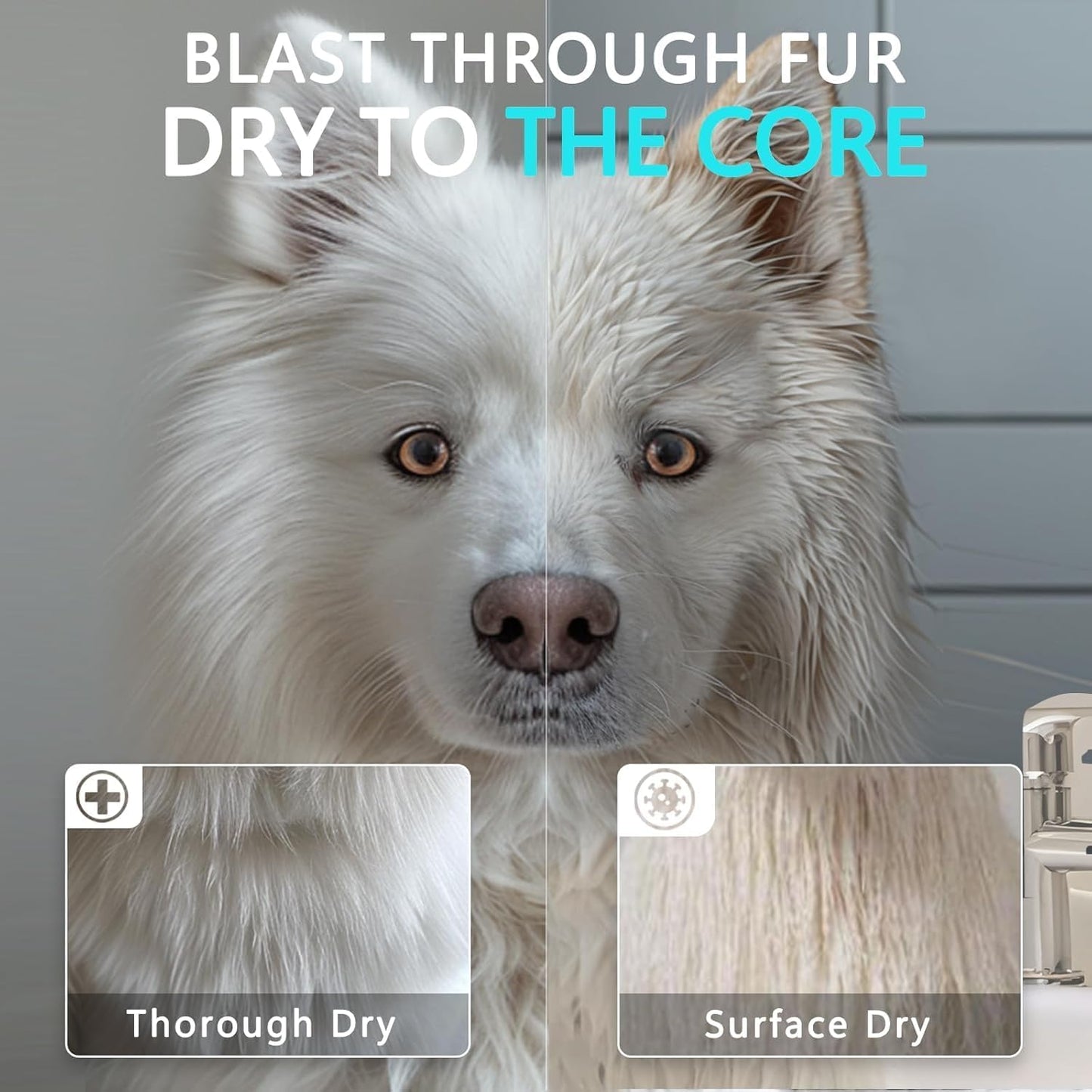 High Velocity Dog Hair Dryer 5.2HP/ 3800W Professional Dogs Blower Grooming Dryer, Adjustable Temperature and Speed Pet Dryers with 4 Nozzles and a Comb, Black