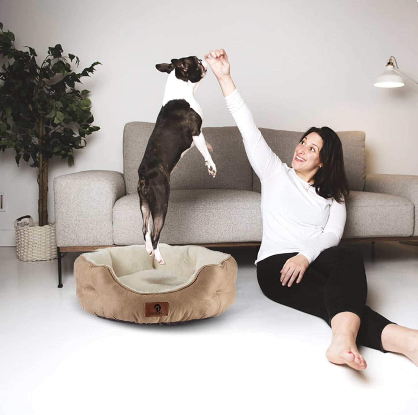 Asvin Medium Dog Bed for Medium Dogs, Cat Beds for Indoor Cats, Pet Bed for Puppy and Kitty, Extra Soft & Machine Washable with Anti-Slip & Water-Resistant Oxford Bottom, Light Brown, 25 inches