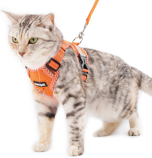 Cat Harness and Leash Escape Proof Extra Large Kitten Harness Maine Coon Cat Vest for Walking Travel, Orange, XXL