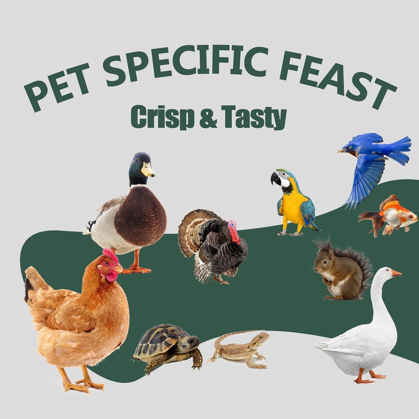 8LB Dried Black Soldier Fly Larvae for Chickens, Non GMO Chicken Feed More Calcium Than Mealworms - Chicken Worms Treats, Duck Food (4 Pack*2LB)